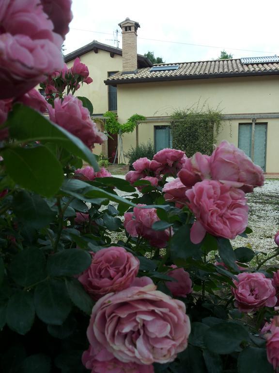 B&B Antegiano Belforte del Chienti Екстериор снимка