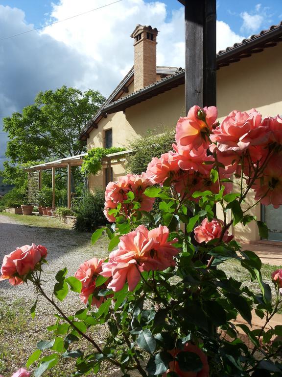 B&B Antegiano Belforte del Chienti Екстериор снимка