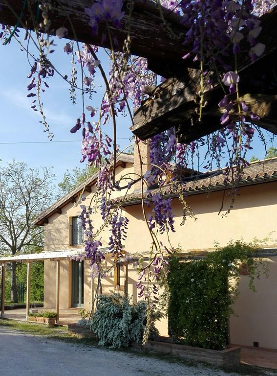 B&B Antegiano Belforte del Chienti Екстериор снимка